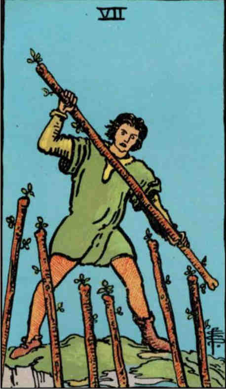 tarot-71-minor-pentacles-seven.jpg