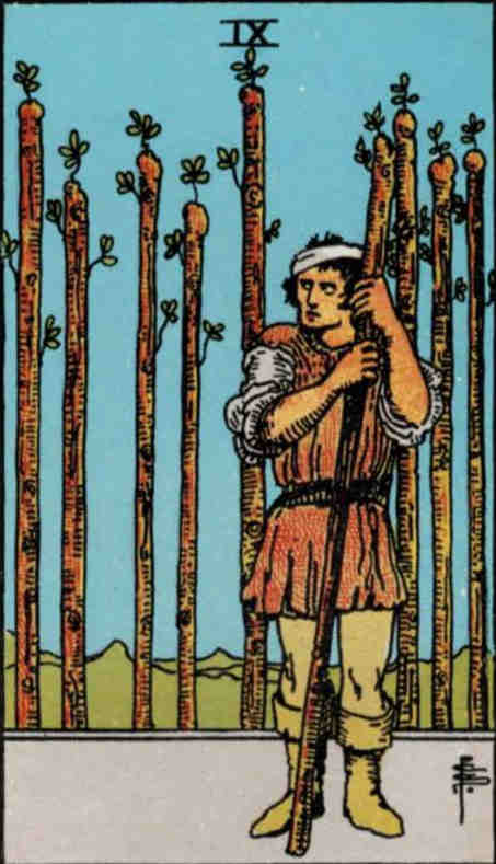tarot-73-minor-pentacles-nine.jpg